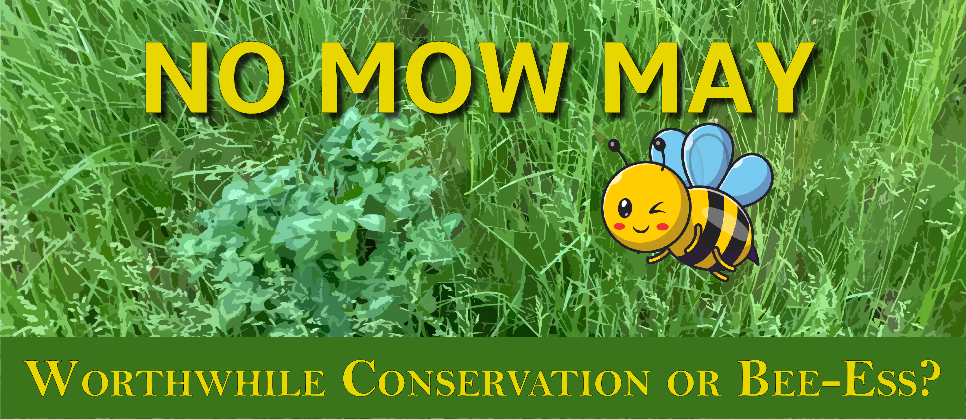 No Mow May Banner