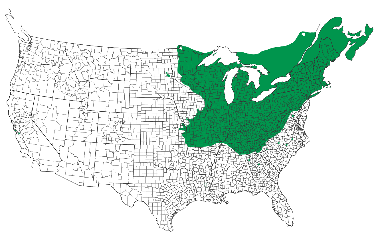 native range map