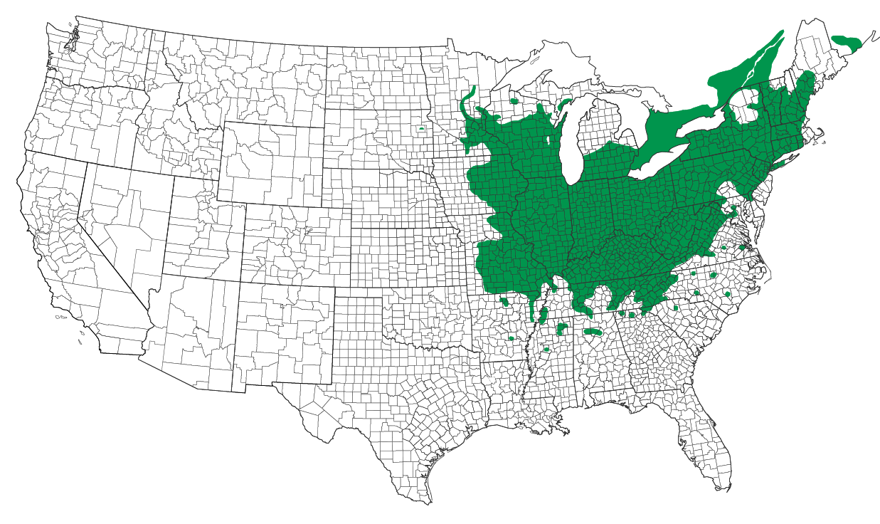 native range map